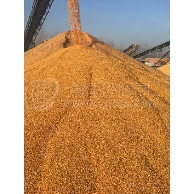 现金收购玉米麸皮大豆高粱淀粉次粉荞麦等原料