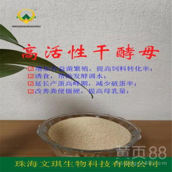 【酵素级饲用发酵剂发酵快提高饲料利用率工业饲料添加剂干酵母厂家直销】-