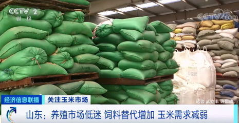 旺季不旺?这种粮食降价了,一斤降0.15元!农户惜售,贸易商也不愿备货!会继续降吗?