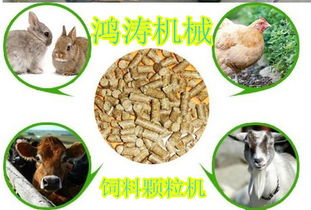 木里藏族兔子饲料颗粒机,原粮颗粒机