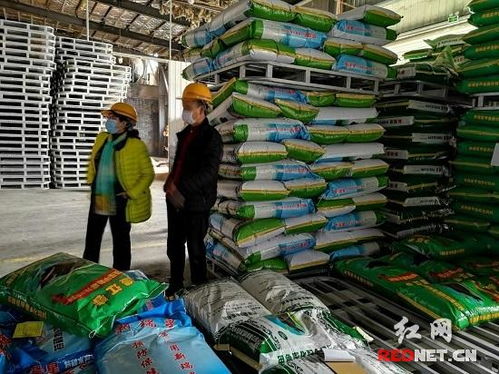褚新年督导企业复工复产及疫情防控工作