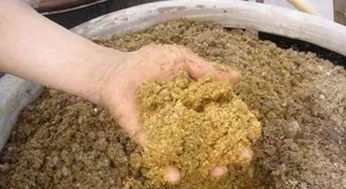 对虾为什么要使用发酵饲料 教您发酵饲料的制作及配方