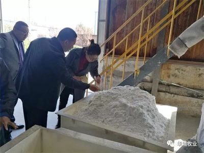 当好东道主,热情迎嘉宾丨热烈欢迎谷实农牧集团领导来厂参观