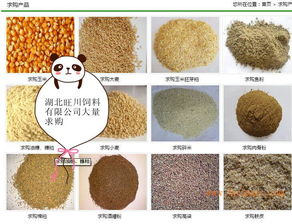 饲料 饲料求购 饲料采购供应信息