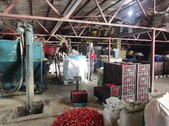 饲用豆粕用量占比如何再降1.5%?各地经验汇总→