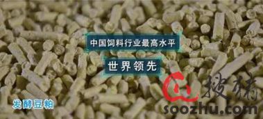 三胞胎 横空出世 为仔猪健康成长 保驾护航