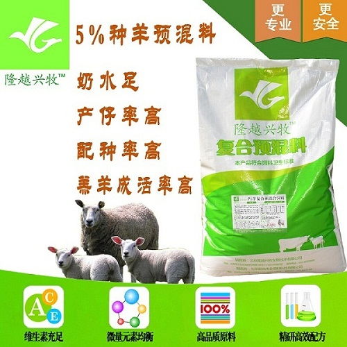 哺乳母羊饲料选择与营养管理指南