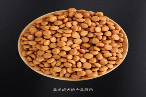 台州双螺杆狗粮膨化机与饲料原料销售——专业为宠物食品产业赋能