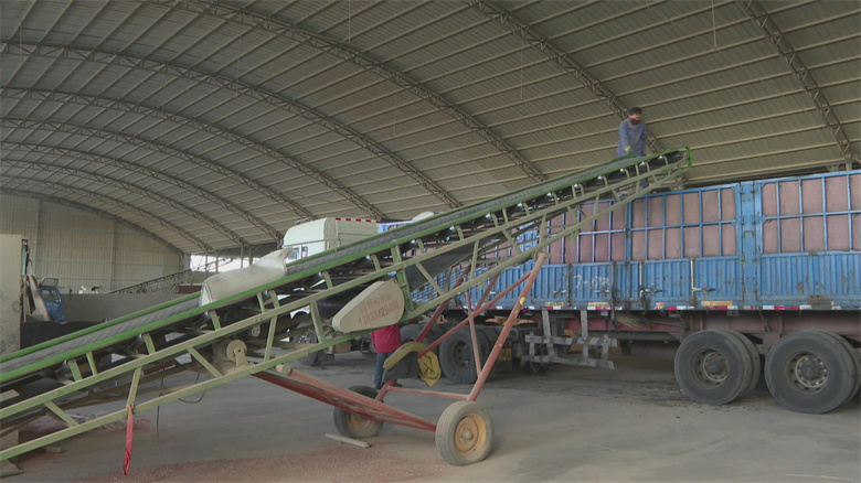 张掖市人民政府饲料原料销售服务与管理指南