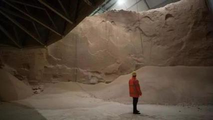 中国与阿根廷达成饲料原料销售历史性协议,共创农业合作新篇章