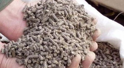 饲料加温生产中的蒸汽发生器 河南优星锅炉在饲料及原料生产中的关键作用